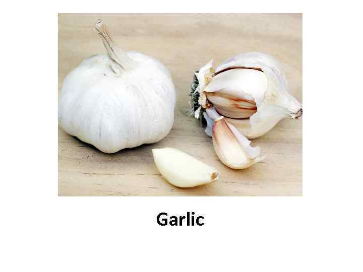 Garlic 
