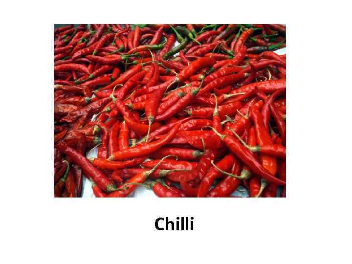 Chilli 