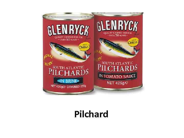 Pilchard 