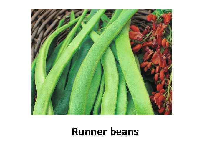 Runner beans 