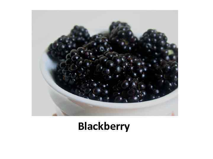 Blackberry 