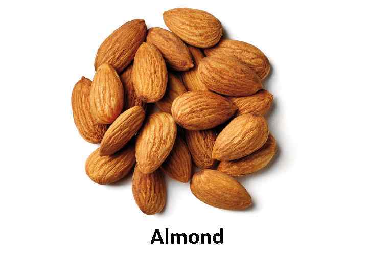 Almond 