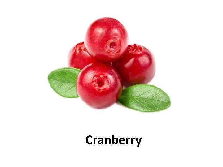 Cranberry 