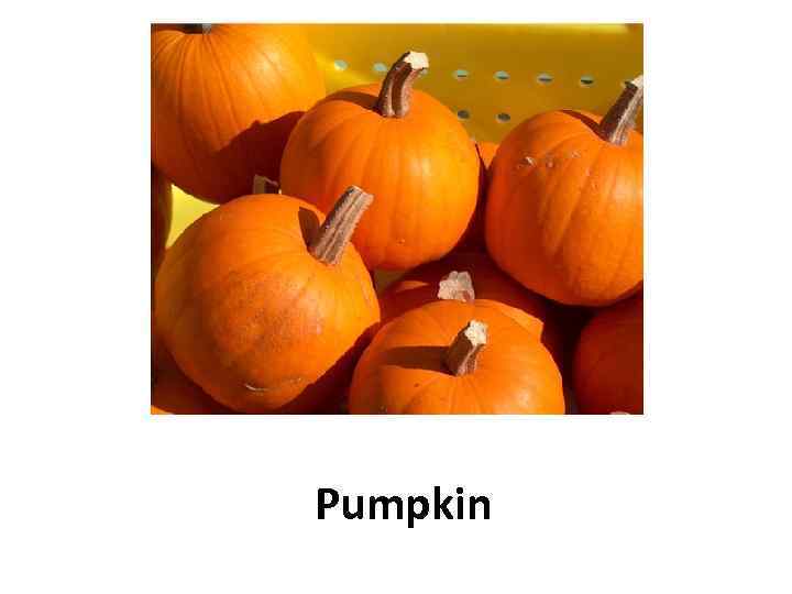 Pumpkin 