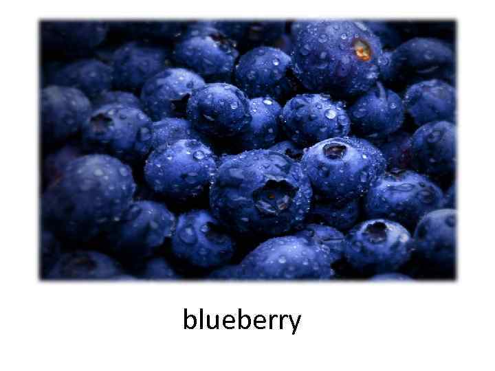 blueberry 
