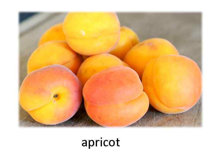 apricot 