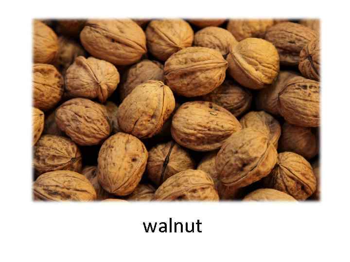 walnut 
