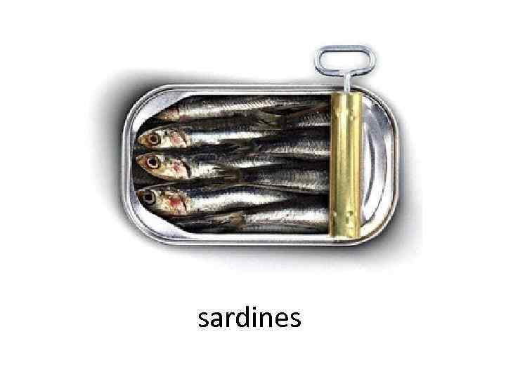 sardines 
