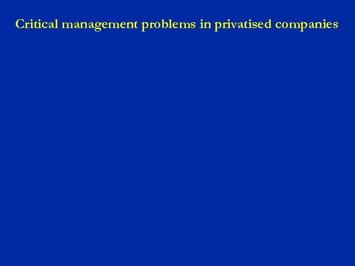 Critical management problems in privatised companies 