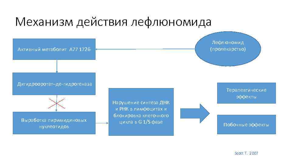 Механизм действия лефлюномида Лефлюномид (пролекарство) Активный метаболит А 77 1726 Дигидрооротат–де гидрогеназа Выработка пиримидиновых