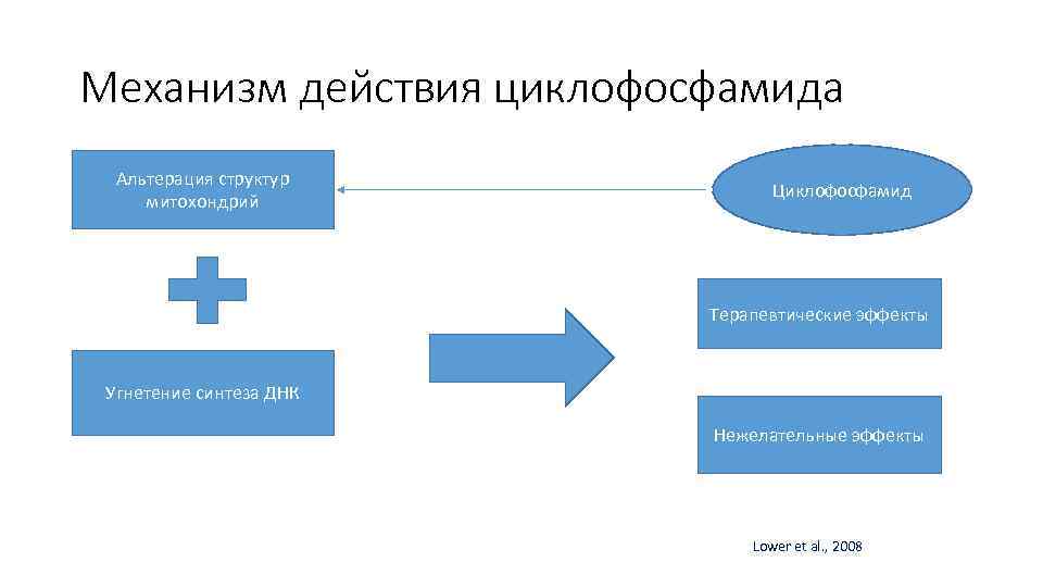 Механизм действия циклофосфамида Альтерация структур митохондрий Циклофосфамид Терапевтические эффекты Угнетение синтеза ДНК Нежелательные эффекты