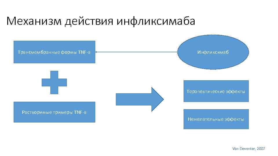 Механизм действия инфликсимаба Трансмембранные формы TNF a Инфликсимаб Терапевтические эффекты Растворимые тримеры TNF a