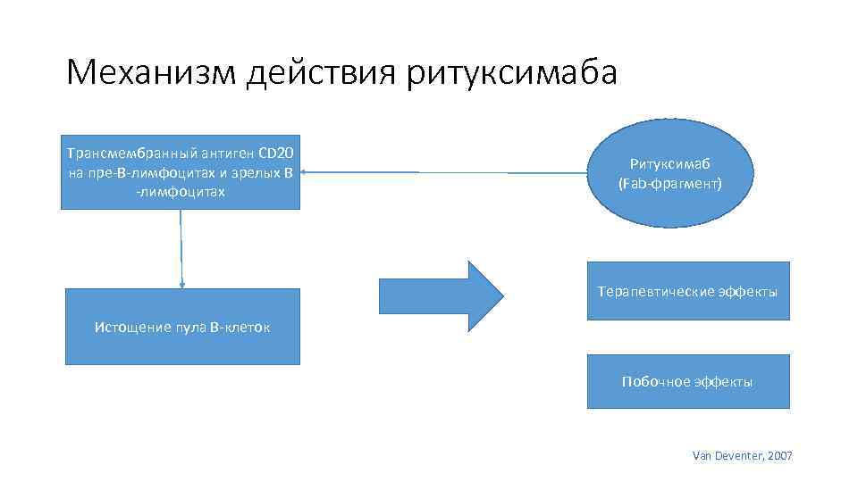 Механизм действия ритуксимаба Трансмембранный антиген CD 20 на пре В лимфоцитах и зрелых В