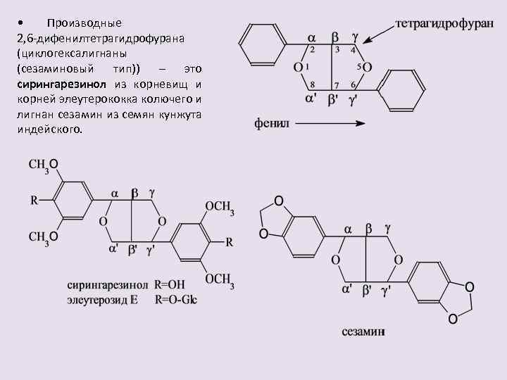  • Производные 2, 6 -дифенилтетрагидрофурана (циклогексалигнаны (сезаминовый тип)) – это сирингарезинол из корневищ