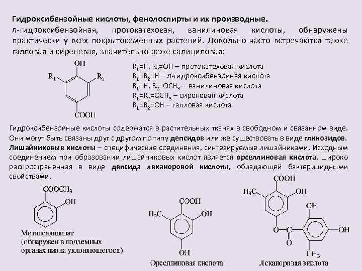 Гидроксибензойные кислоты, фенолоспирты и их производные. n-гидроксибензойная, протокатеховая, ванилиновая кислоты, обнаружены практически у всех