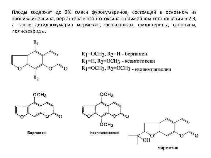 Плоды содержат до 2% смеси фурокумаринов, состоящей в основном из изопимпинеллина, бергаптена и ксантотоксина