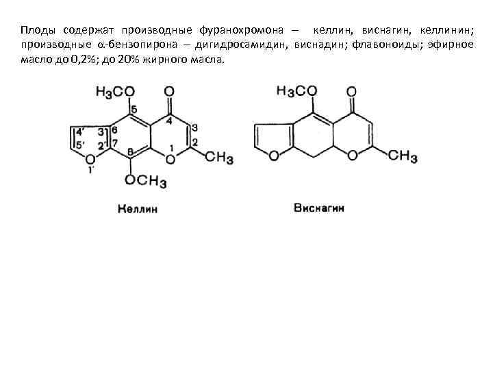 Плоды содержат производные фуранохромона келлин, виснагин, келлинин; производные -бензопирона дигидросамидин, виснадин; флавоноиды; эфирное масло