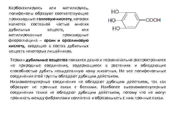 Карбоксилируясь или метилируясь, полифенолы образуют соответствующие производные: галловую кислоту, которая является составной частью многих