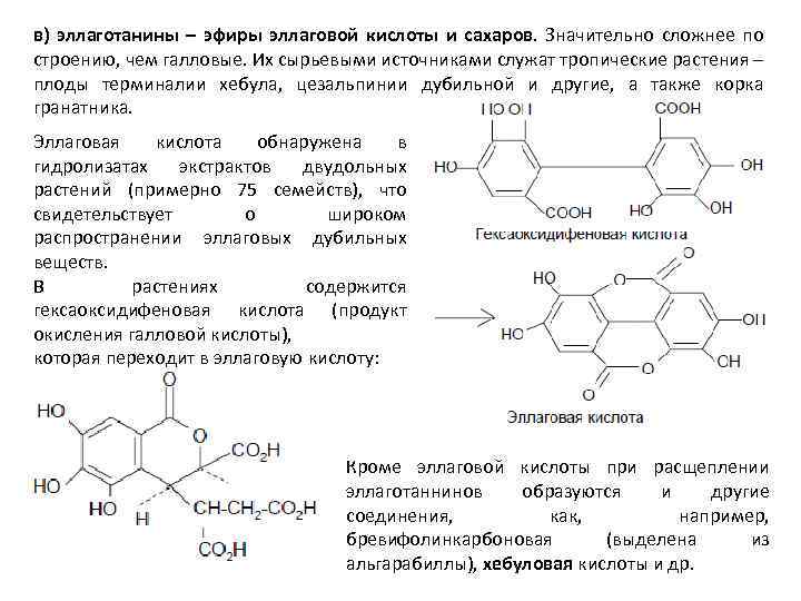 в) эллаготанины – эфиры эллаговой кислоты и сахаров. Значительно сложнее по строению, чем галловые.