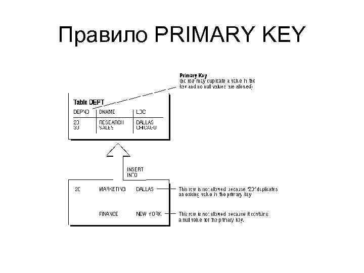 Primary key field. Primary Key. Primary Key ви картинка для схемы. Суррогатный первичный ключ.