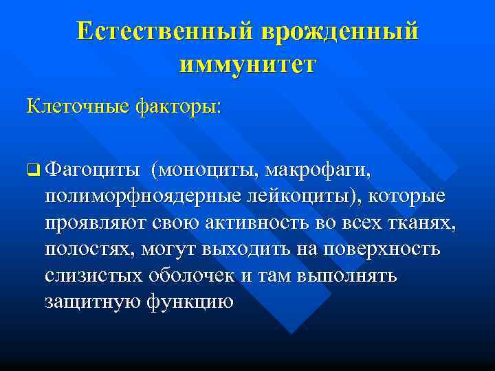 Естественный врожденный иммунитет Клеточные факторы: q Фагоциты (моноциты, макрофаги, полиморфноядерные лейкоциты), которые проявляют свою