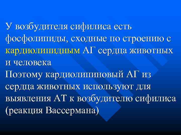 У возбудителя сифилиса есть фосфолипиды, сходные по строению с кардиолипидным АГ сердца животных и