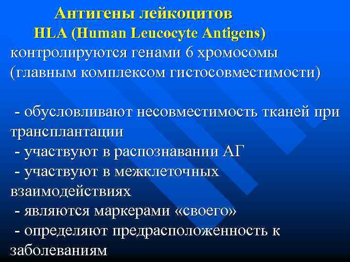 Антигены лейкоцитов HLA (Human Leucocyte Antigens) контролируются генами 6 хромосомы (главным комплексом гистосовместимости) -