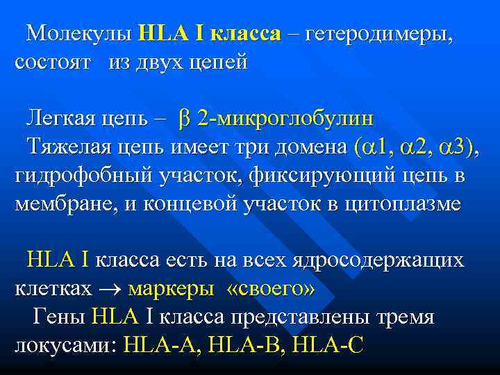  Молекулы HLA I класса – гетеродимеры, состоят из двух цепей Легкая цепь –