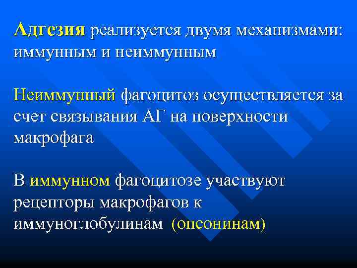 Адгезия реализуется двумя механизмами: иммунным и неиммунным Неиммунный фагоцитоз осуществляется за счет связывания АГ