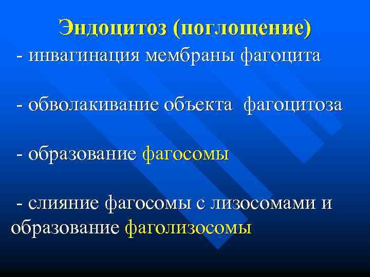 Эндоцитоз (поглощение) - инвагинация мембраны фагоцита - обволакивание объекта фагоцитоза - образование фагосомы -