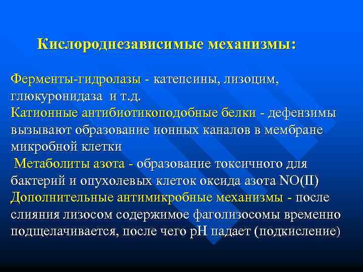  Кислороднезависимые механизмы: Ферменты-гидролазы - катепсины, лизоцим, глюкуронидаза и т. д. Катионные антибиотикоподобные белки