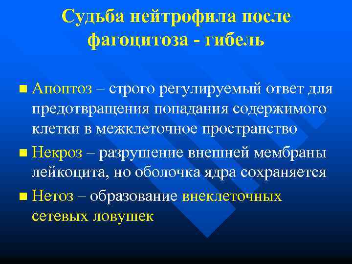 Судьба нейтрофила после фагоцитоза - гибель n Апоптоз – строго регулируемый ответ для предотвращения