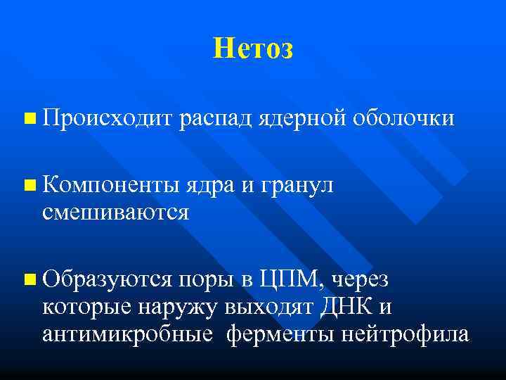 Нетоз n Происходит распад ядерной оболочки n Компоненты ядра и гранул смешиваются n Образуются