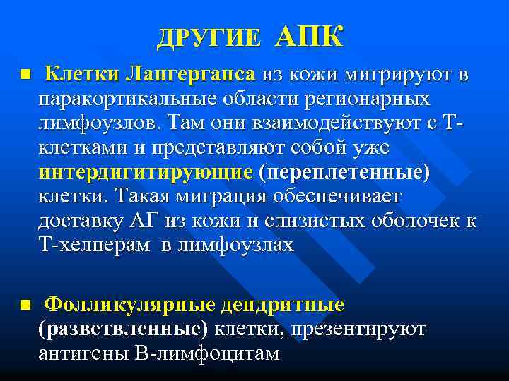 ДРУГИЕ АПК n Клетки Лангерганса из кожи мигрируют в паракортикальные области регионарных лимфоузлов. Там