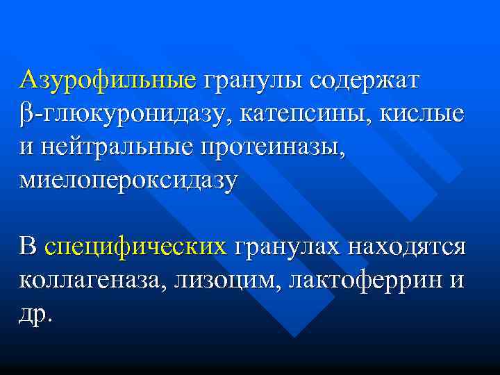 Азурофильные гранулы содержат -глюкуронидазу, катепсины, кислые и нейтральные протеиназы, миелопероксидазу В специфических гранулах находятся