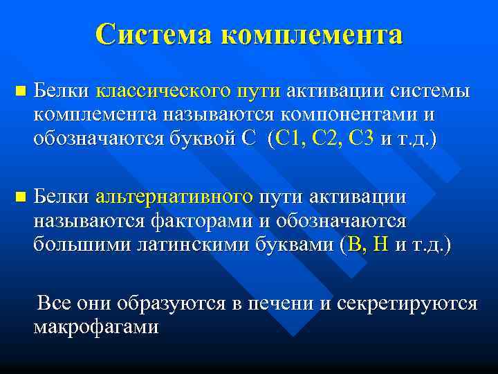 Система комплемента n Белки классического пути активации системы комплемента называются компонентами и называются обозначаются