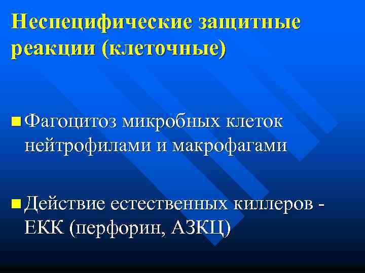 Неспецифические защитные реакции (клеточные) n Фагоцитоз микробных клеток нейтрофилами и макрофагами n Действие естественных