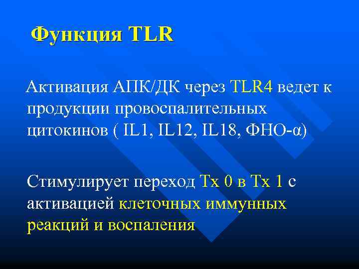 Функция TLR Активация АПК/ДК через TLR 4 ведет к продукции провоспалительных цитокинов ( IL