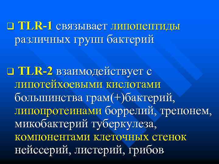 q TLR-1 связывает липопептиды различных групп бактерий q TLR-2 взаимодействует с липотейхоевыми кислотами большинства