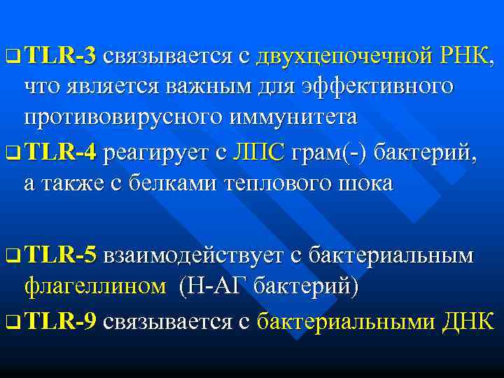 q TLR-3 связывается с двухцепочечной РНК, что является важным для эффективного противовирусного иммунитета q