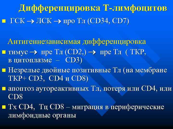 Дифференцировка Т-лимфоцитов n ГСК ЛСК про Тл (CD 34, CD 7) Антигеннезависимая дифференцировка n