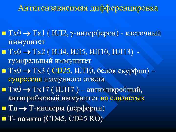 Антигензависимая дифференцировка Тх0 Тх1 ( ИЛ 2, -интерферон) - клеточный иммунитет n Тх0 Тх2