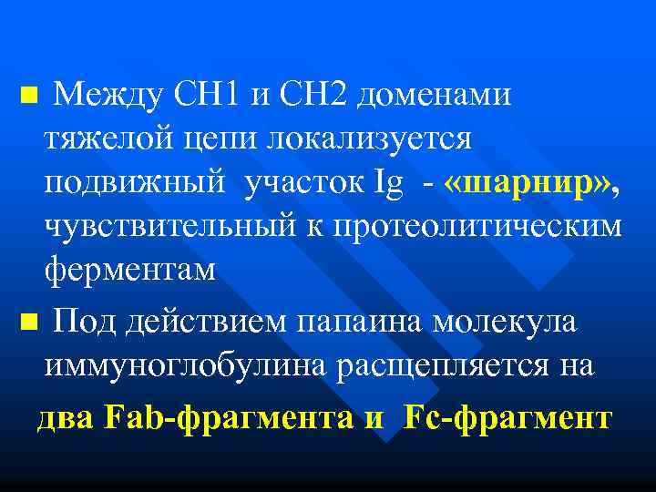 n Между СН 1 и СН 2 доменами тяжелой цепи локализуется подвижный участок Ig