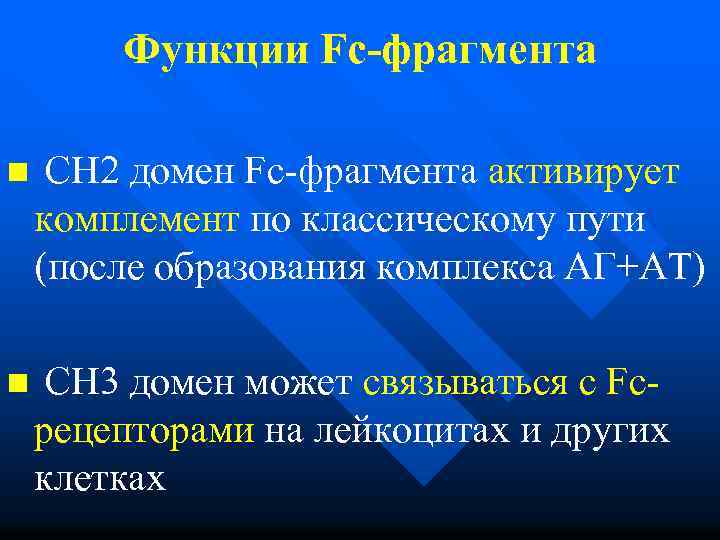 Функции Fc-фрагмента n CН 2 домен Fc-фрагмента активирует комплемент по классическому пути (после образования