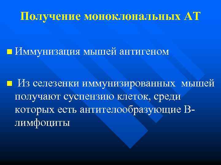 Получение моноклональных АТ n Иммунизация мышей антигеном n Из селезенки иммунизированных мышей получают суспензию