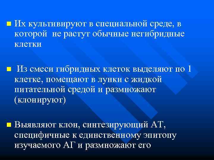 n Их культивируют в специальной среде, в которой не растут обычные негибридные клетки n