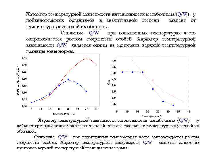 Интенсивность обмена веществ