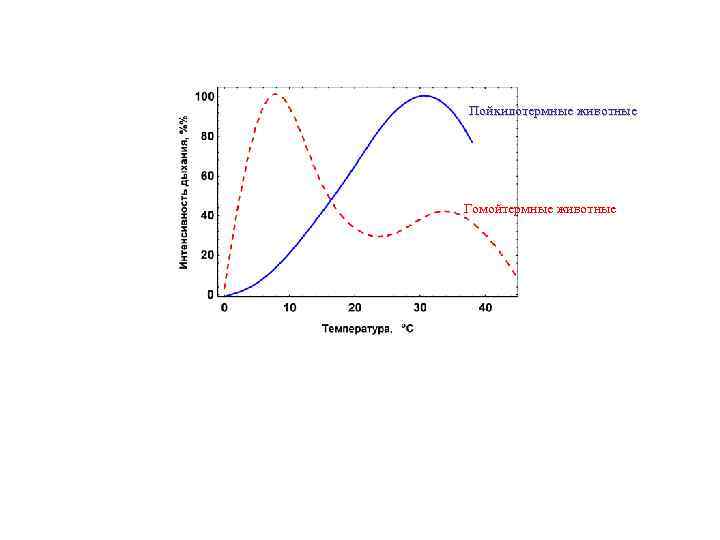 Пойкилотермные животные Гомойтермные животные 