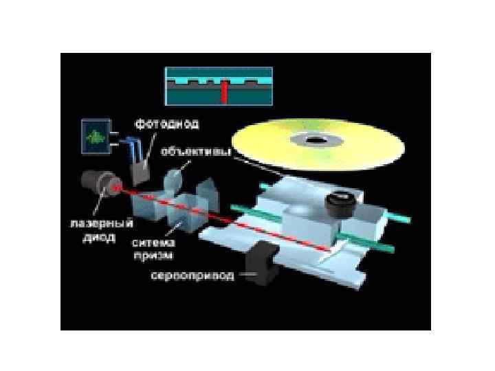 Установите местоположения дисководов гибких дисков и дисковода cd rom