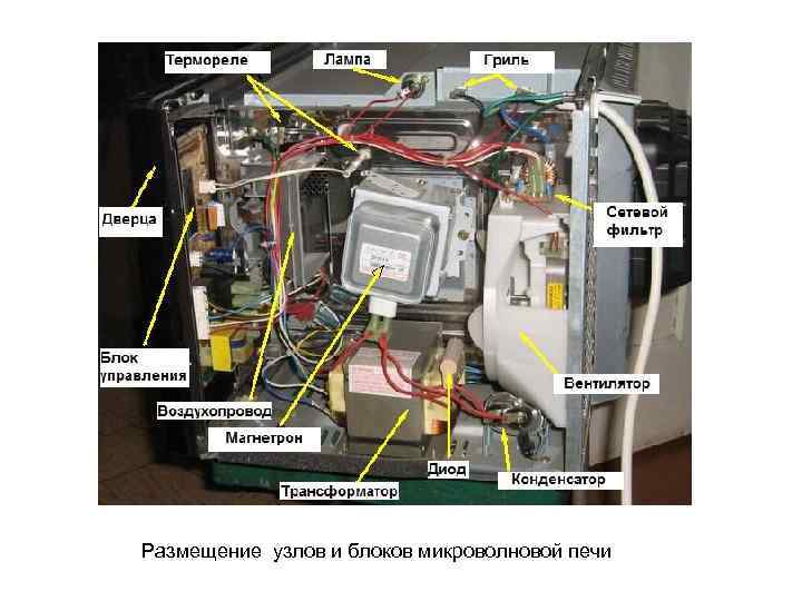 Устройство микроволновой печи внутри фото